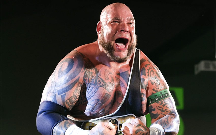 pro wrestler tyrus net worth